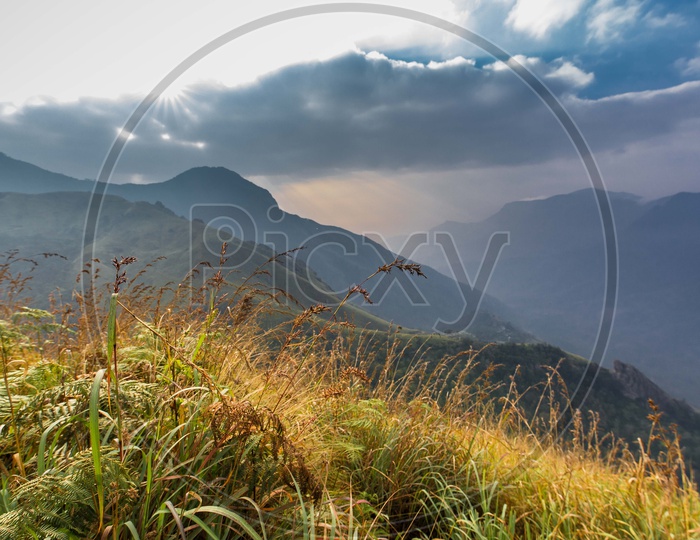 Landscapes of Munnar - Mountains & Clouds