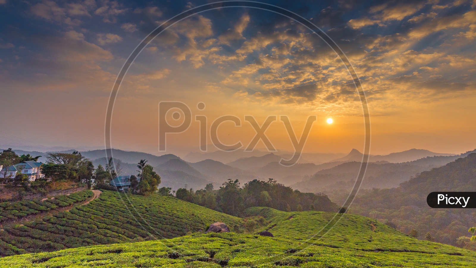Landscapes of Munnar - Sunrise, Mountains & Clouds