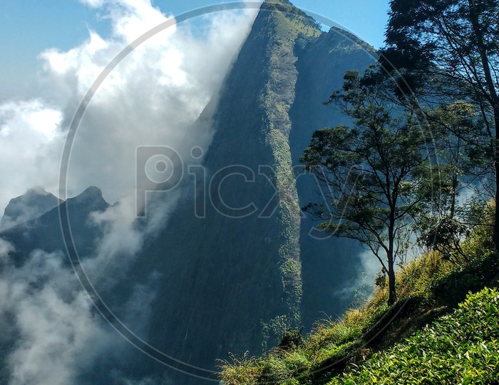 A mountain in the clouds amidst a tea garden in Munnar,Kerala