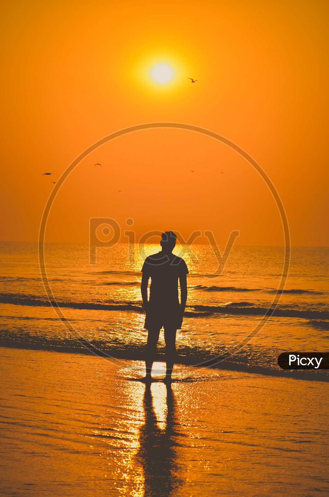 A man at Sunrise along the beach - Surya Lanka