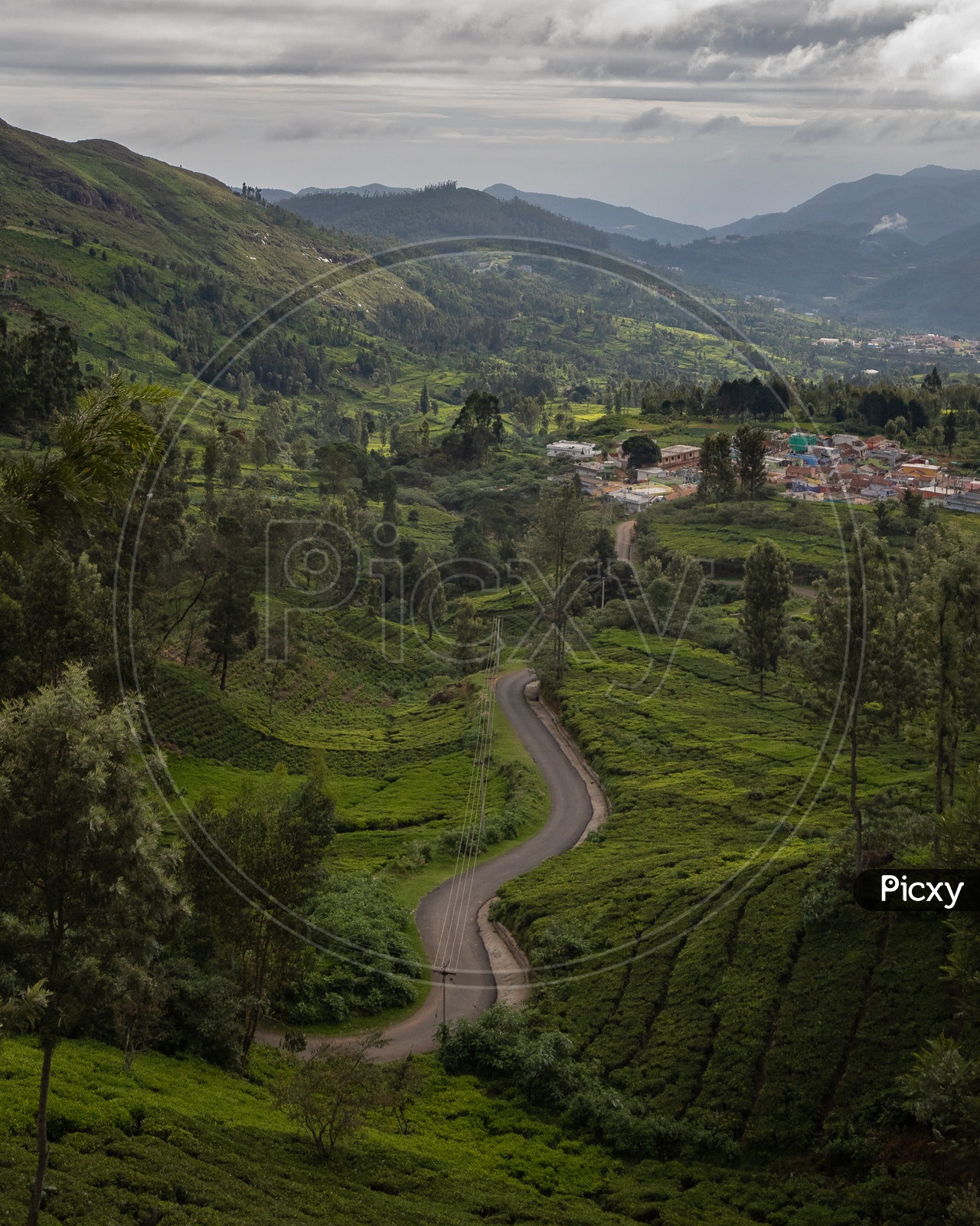 Aerial View of Tea Plantations in Ooty From With Roads in Between The Plantations