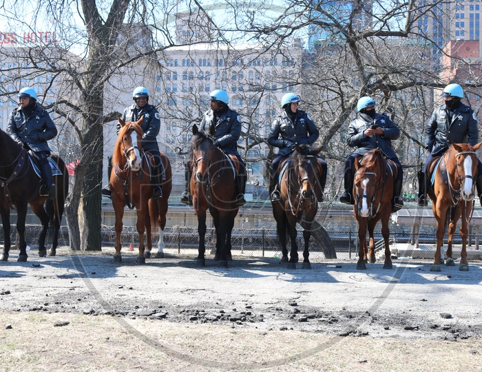 Chicago Police Cavalry