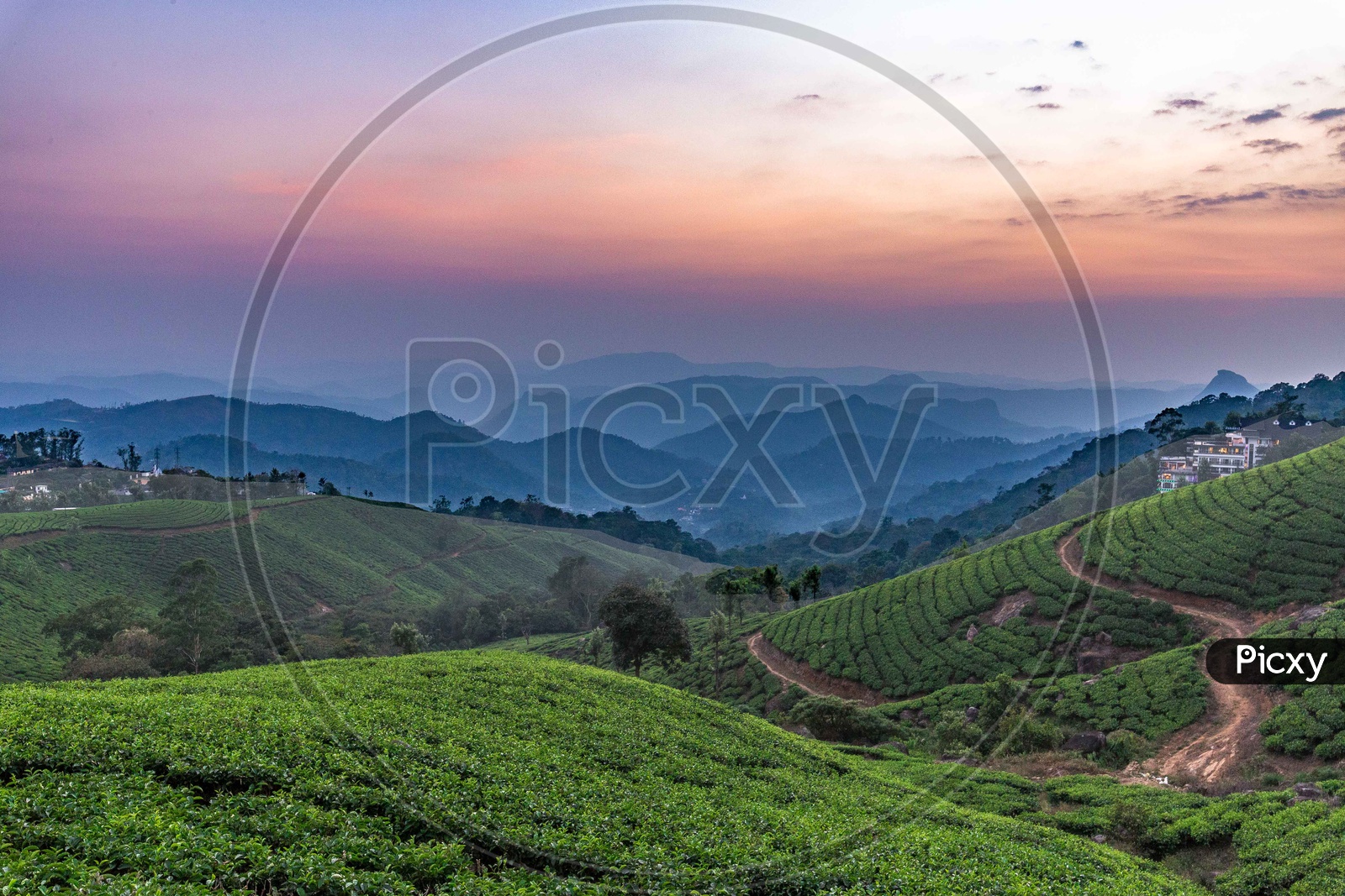 Sunset over the western ghats and tea plantations
