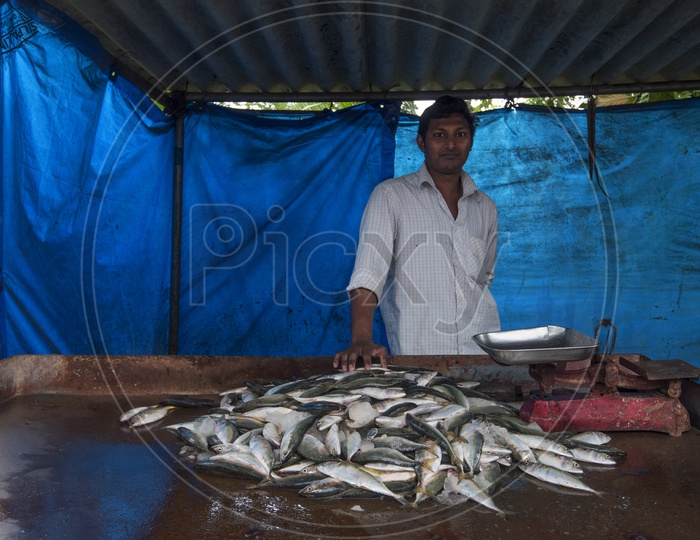 Man Selling Fishes