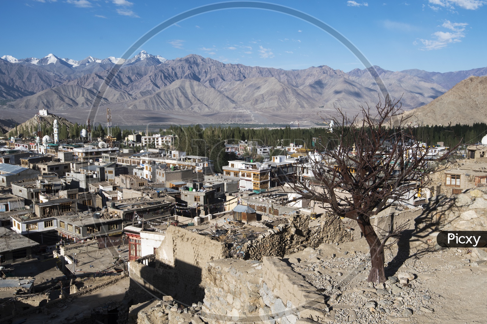 Beautiful mountains of leh with houses in the foreground