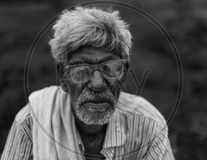 Portrait of an Old man with Spectacles