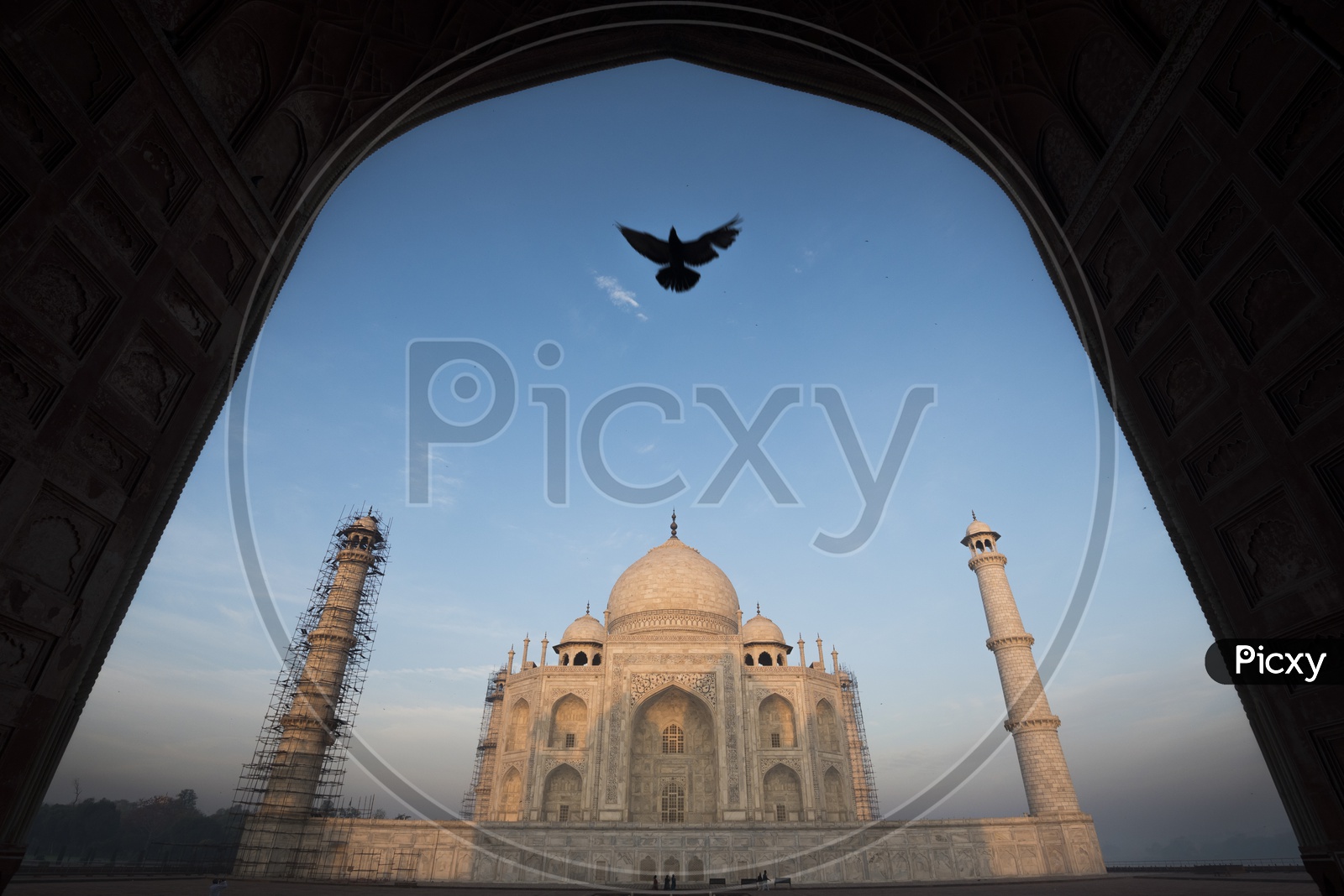 Beautiful Landscape of Taj Mahal with arch and bird in the foreground
