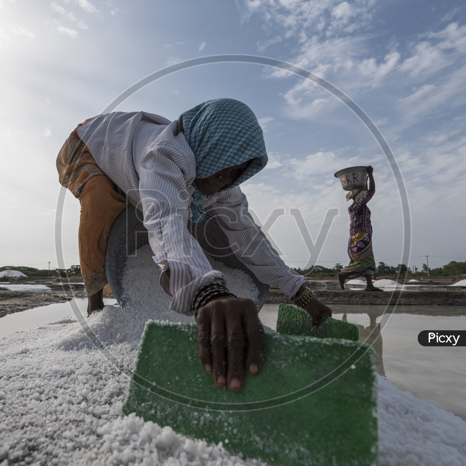 Harvesting Salt in Traditional Way