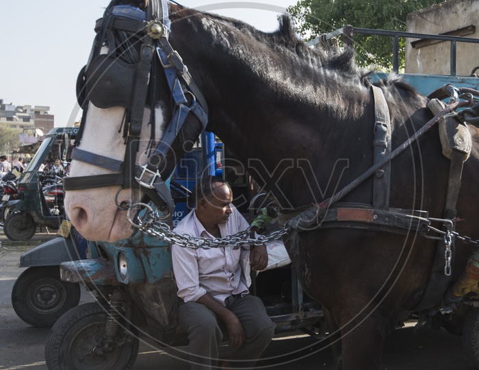 A black horse and a man sitting in rickshaw