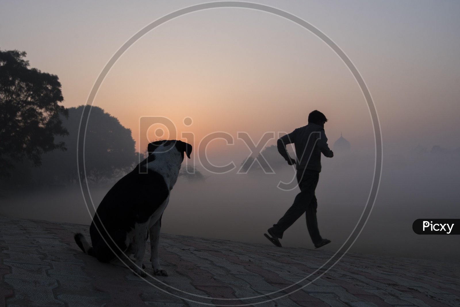 Man Jogging in early morning near Taj Mahal