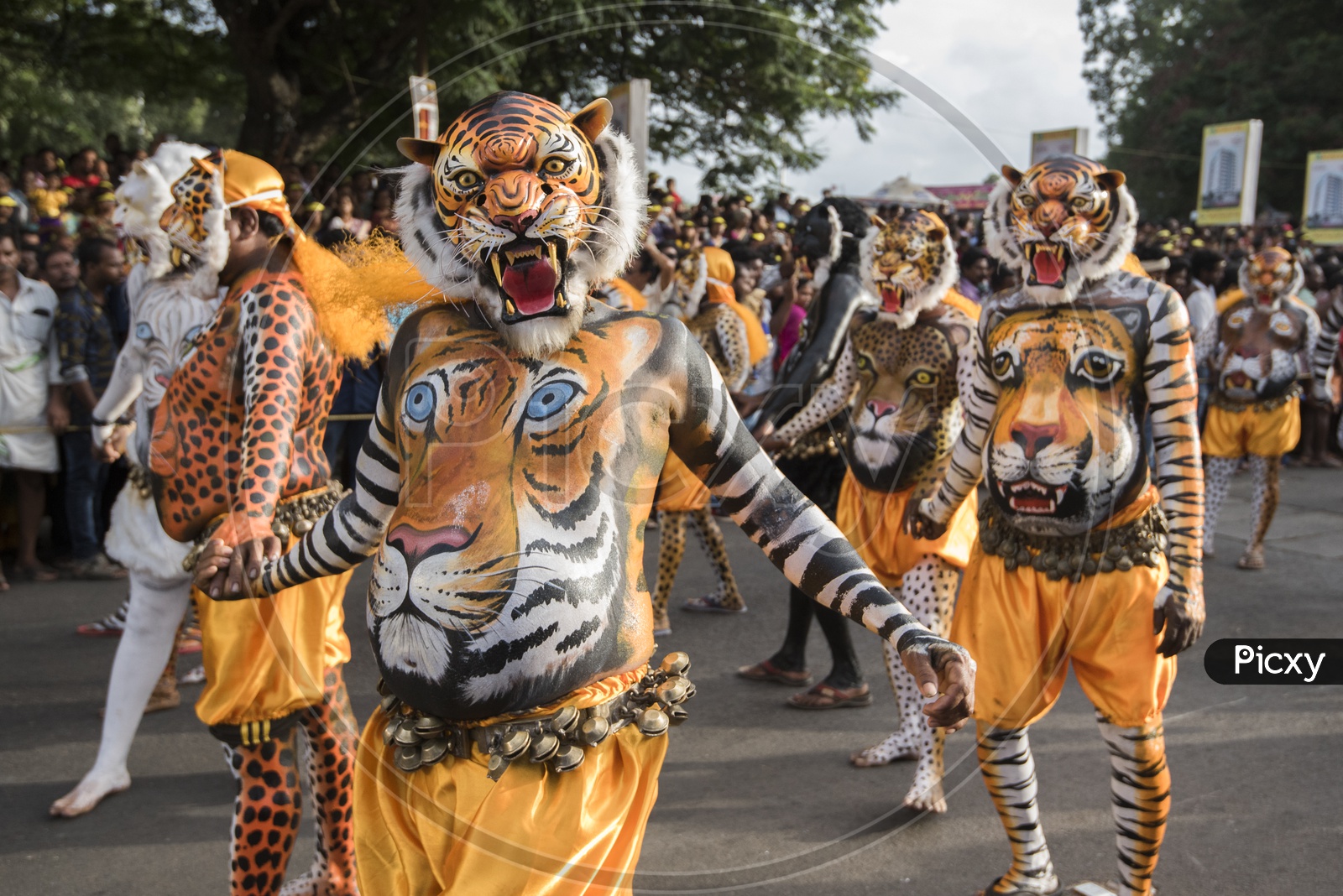 Pulikali (Play of the Tigers), A 200 year old folk art parade performed on Onam.