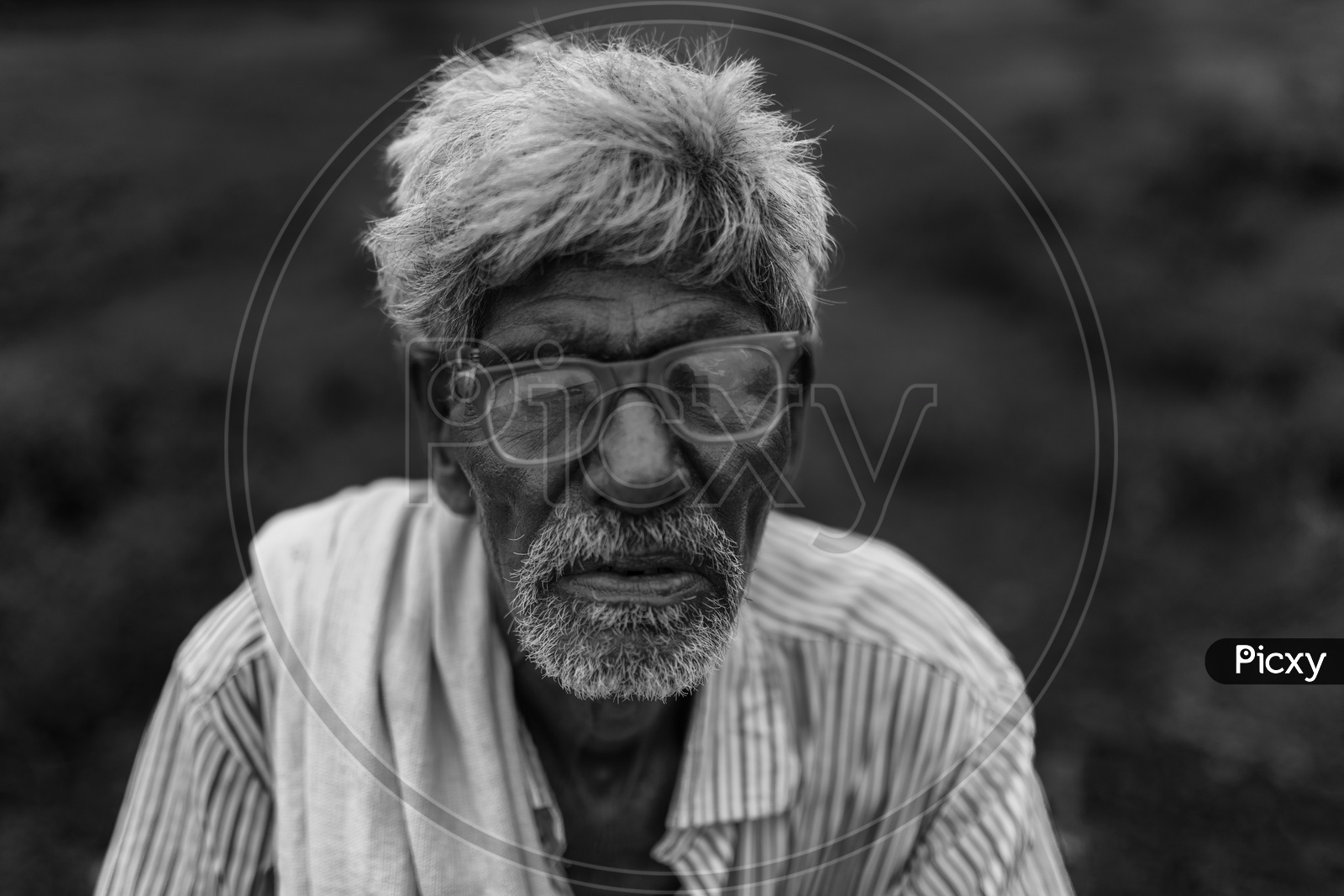 Portrait of an Old man with Spectacles