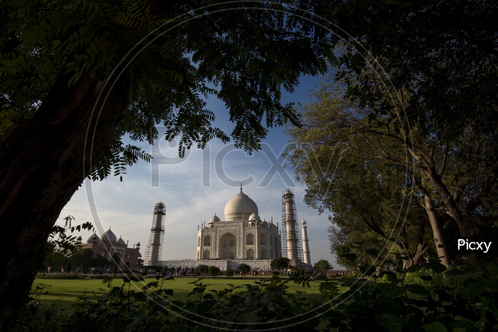 Beautiful Landscape of Taj Mahal with trees in foreground