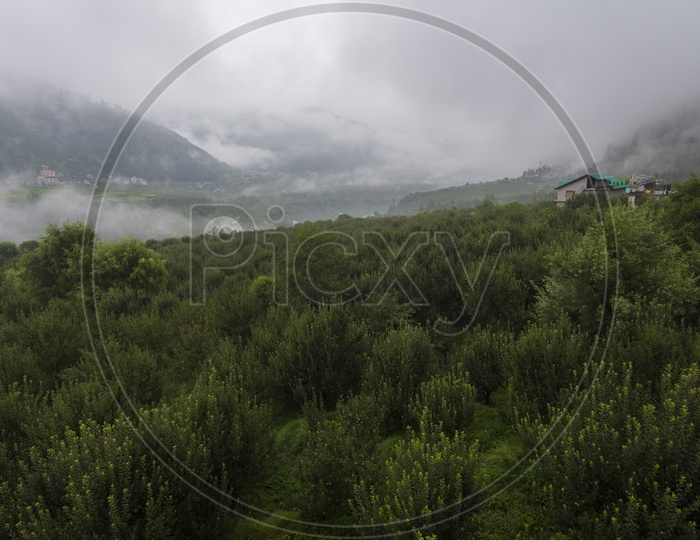 Mountains Covered with Greenery and Fog