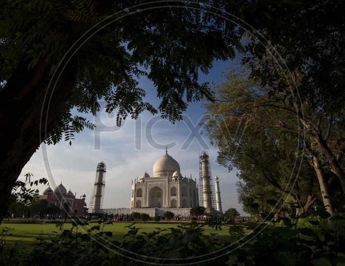 Beautiful Landscape of Taj Mahal with trees in foreground