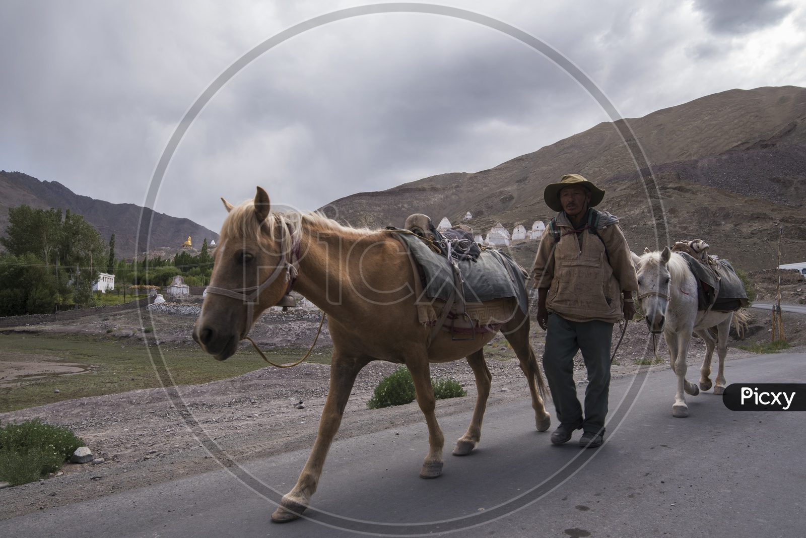Horse Herder with Horses on Road