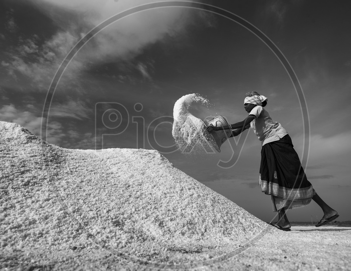 Harvesting Salt in Traditional Way