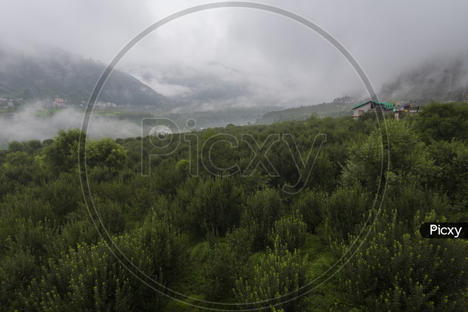 Mountains Covered with Greenery and Fog