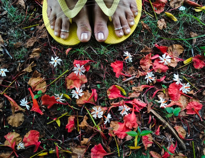 Foot an Indian Woman with yellow slippers and flower petals around