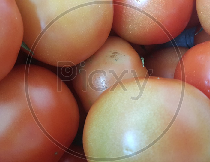 Red tomatoes in market for sale