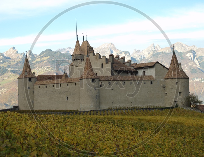 Aigle Castle surrounded by vineyards and Swiss alps