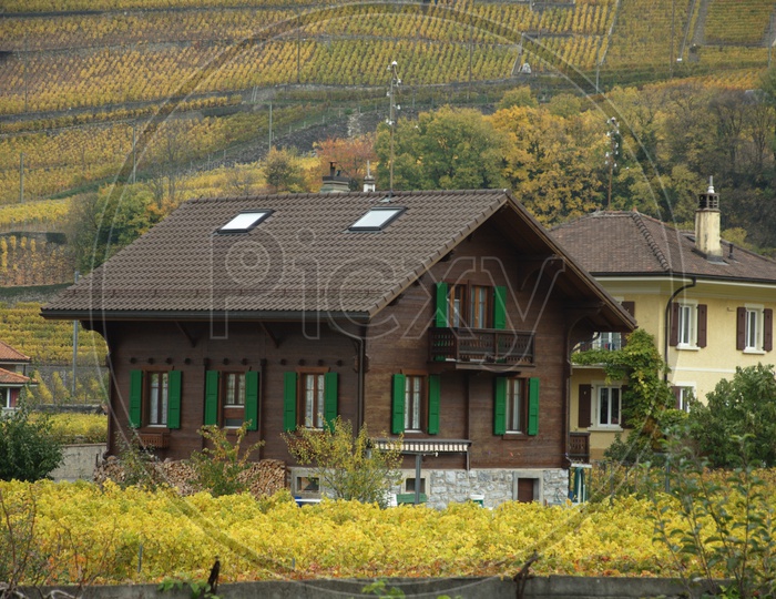 Houses On the Plateaus in Switzerland