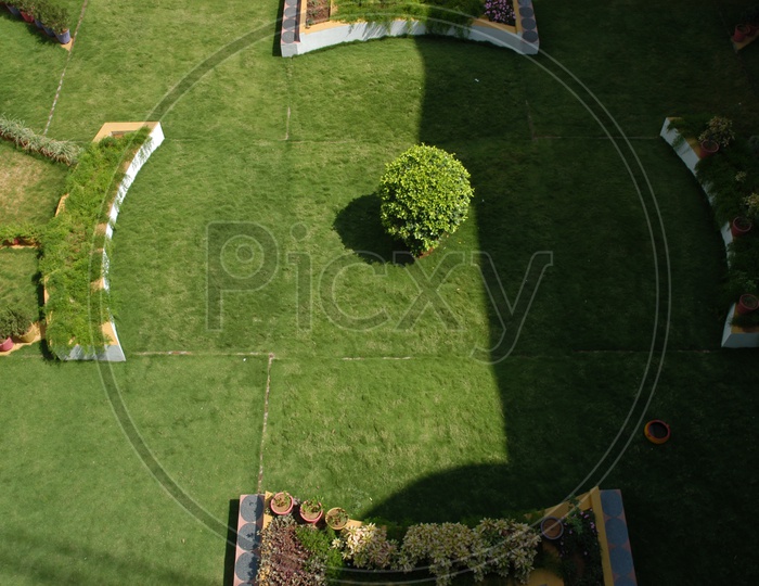 Top view of a garden in a house