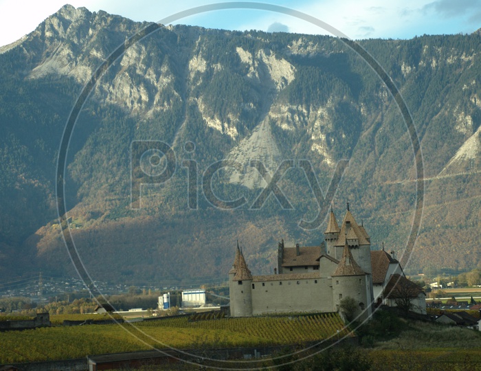 Aigle Castle surrounded by vineyards and Swiss alps