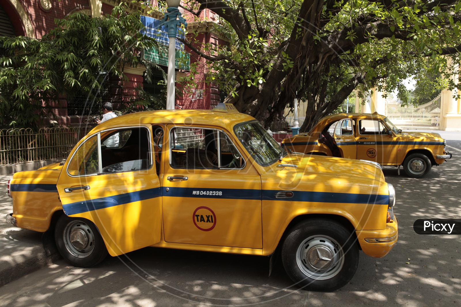 Yellow Coloured Taxis In West Bengal