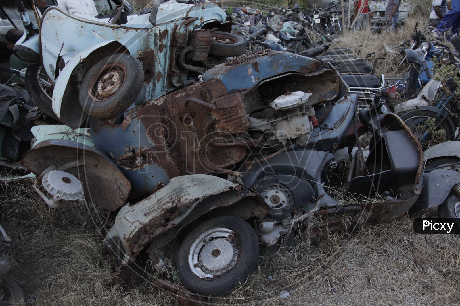 Old Rusted And Wrecked Vehicles  In a Place