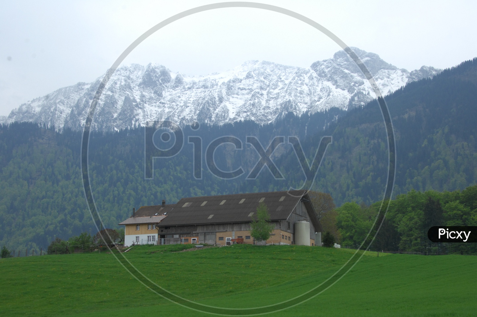 A  farm house with Swiss Alps in the background