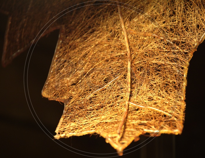Texture of an Artificial leaf Made of Dried Grass