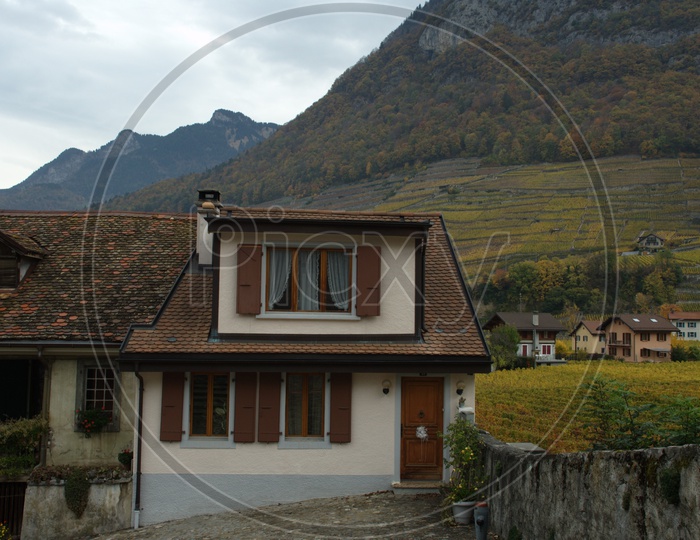 Houses With Tile Roofing looks Like  Huts in Switzerland