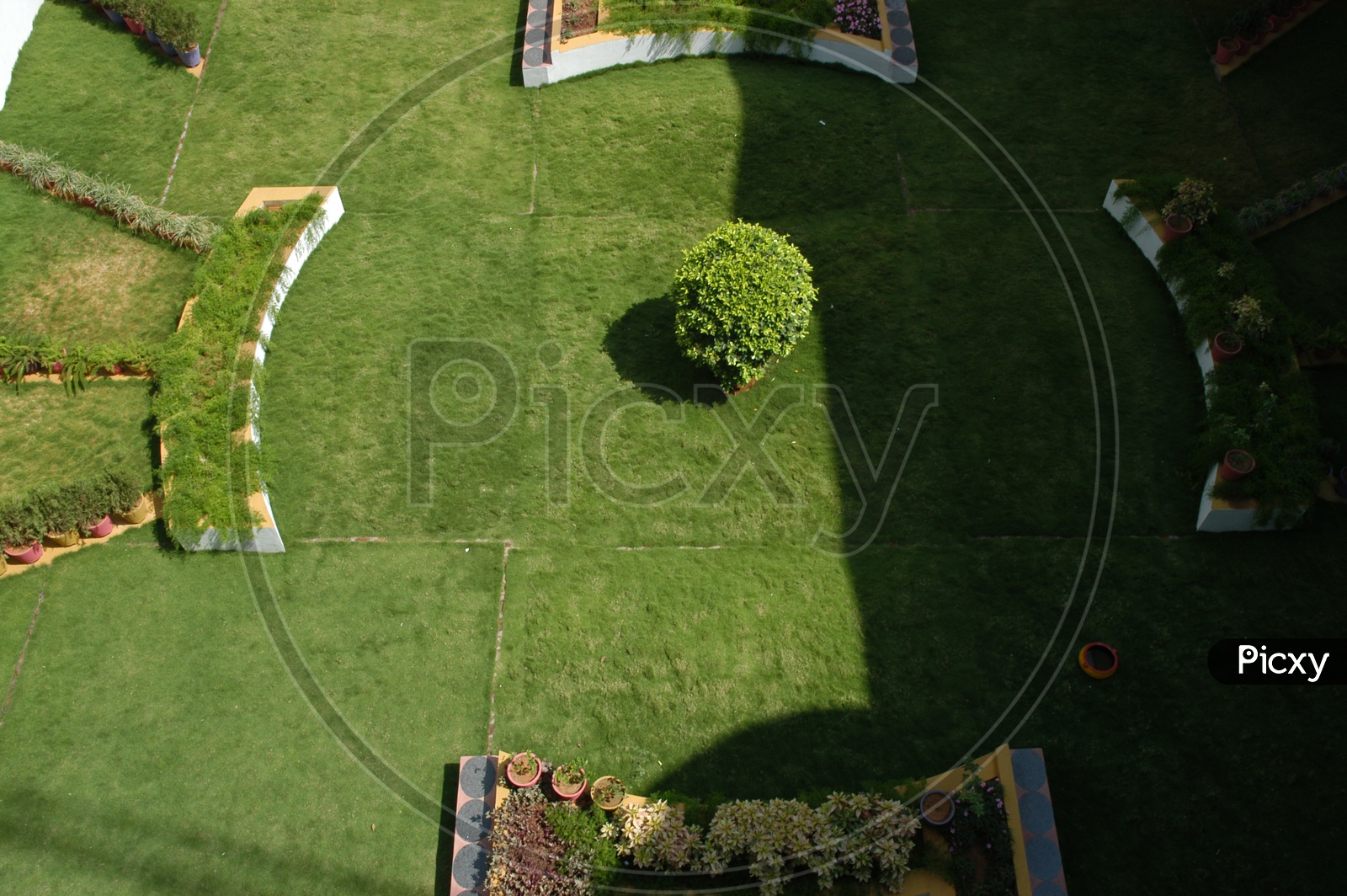 Top view of a garden in a house