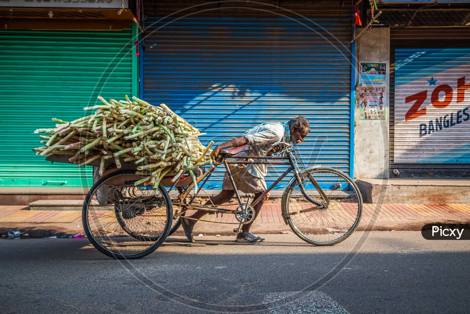 Rickshaw man carrying a load of sugarcanes on his rickshaw in a street