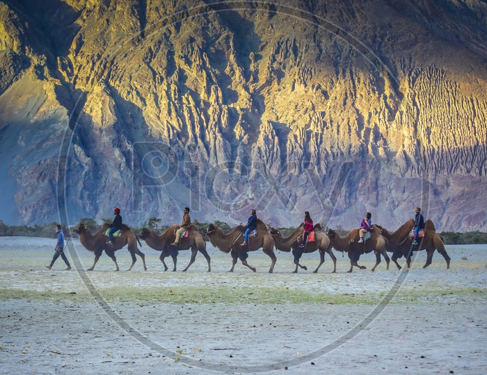 Travellers experiencing the Camel Ride alongside the mountains