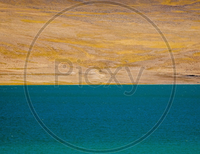 Landscape of Pangong Lake water with the grassland on the other side