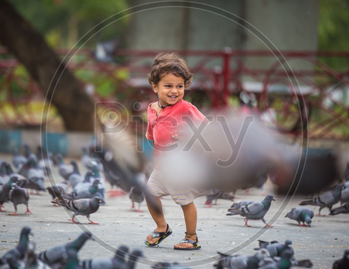 Small  Boy Happily Playing With Pigeons And smiling