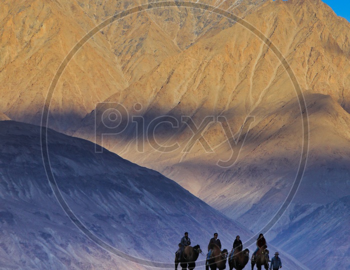 Travellers experiencing Camel ride alongside the Mountains