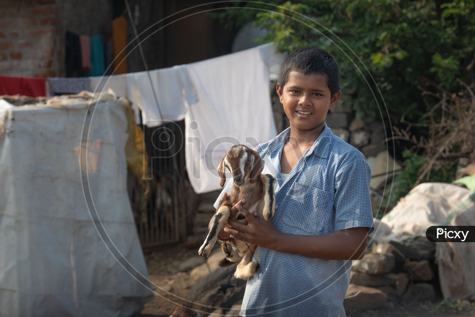 Portrait of a Rural Village Boy With A Lamb in Hands