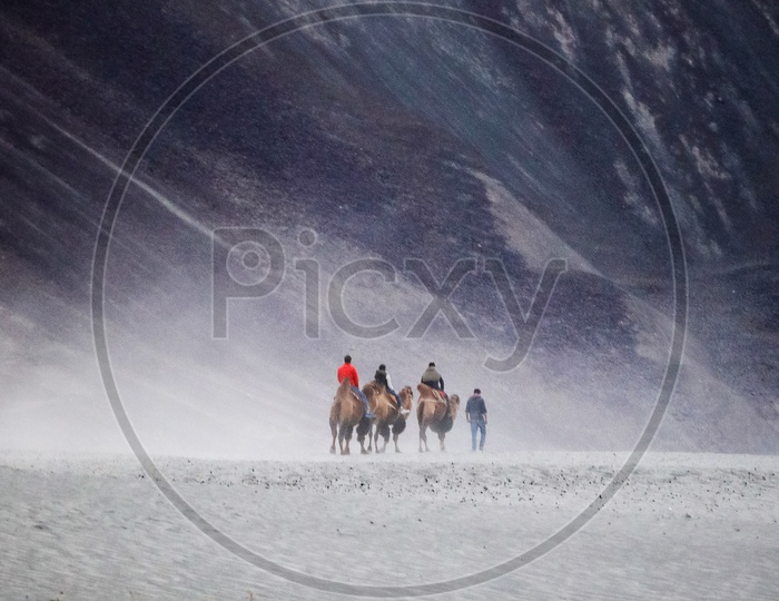 Travellers experiencing camel ride amidst mountains in the snow