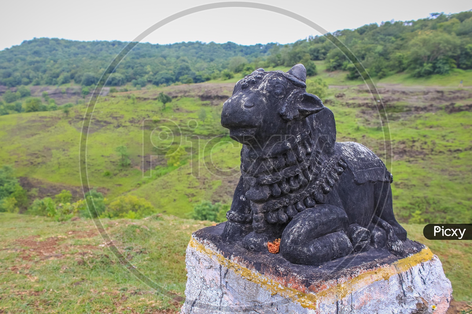 Statue of Nandi by the green land