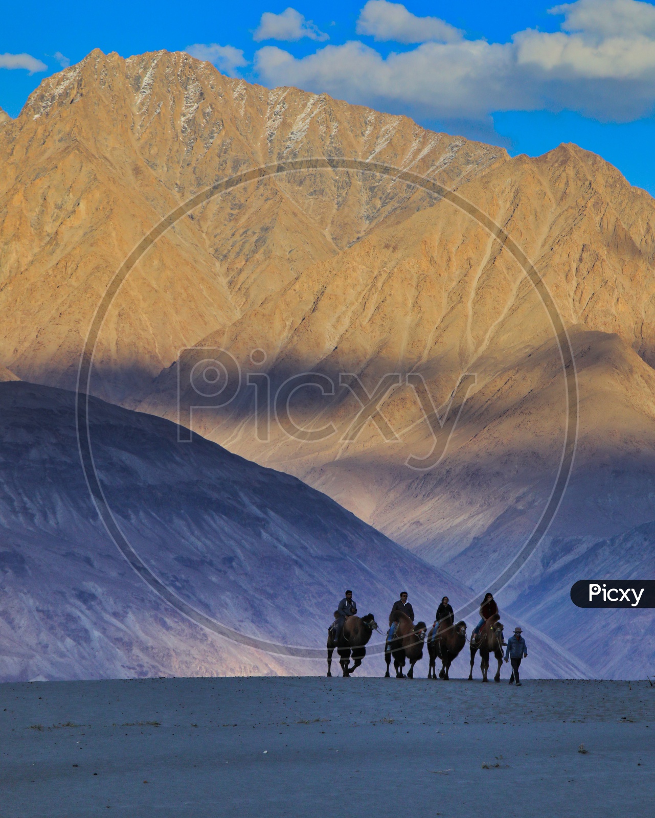 Travellers experiencing Camel ride alongside the Mountains
