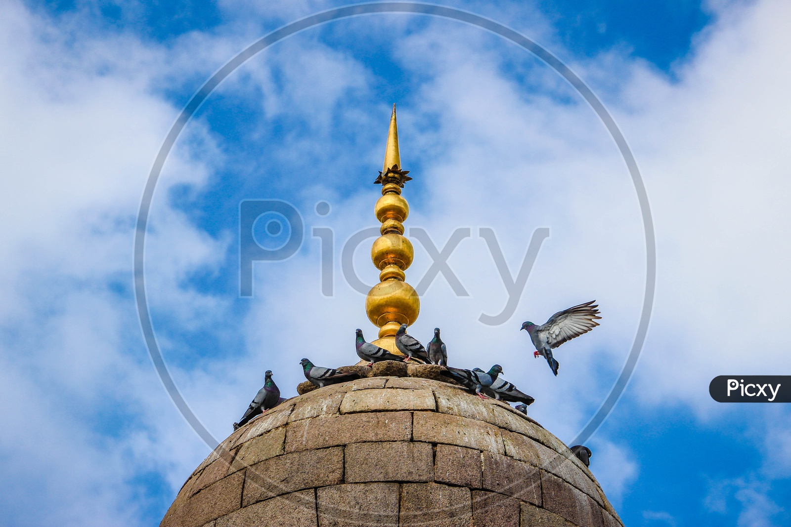 Pigeons on the Dome Of a architecture