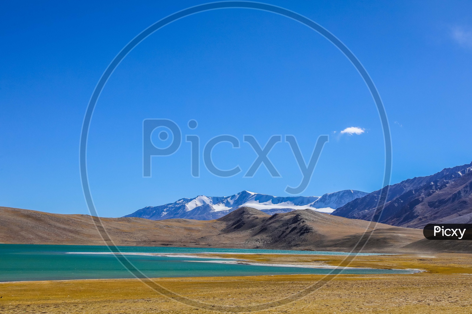 Landscape of the Pangong Lake alongside the snow covered mountains