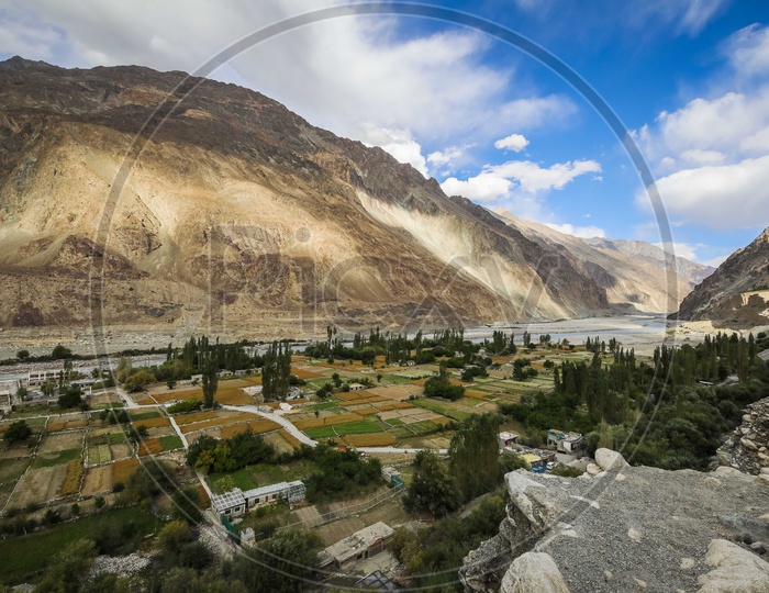 Aerial view of the crops alongside the mountains Nubra Valley