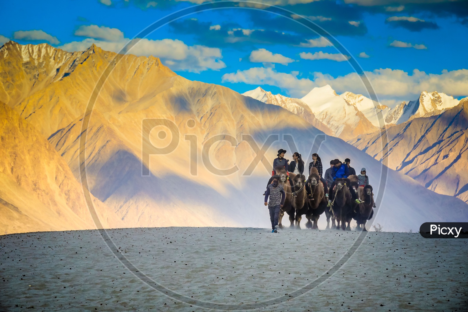 Travellers experiencing camel ride  alongside the mountains