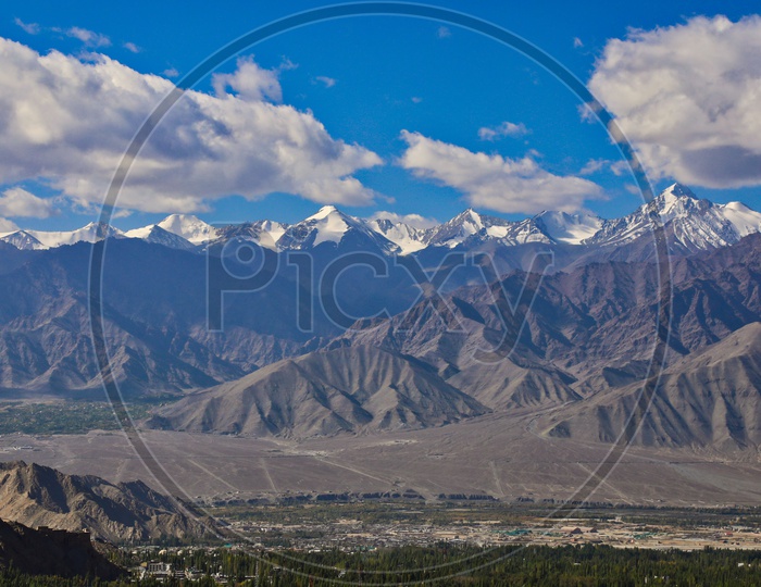 Landscape of snow capped mountains and the poplar trees