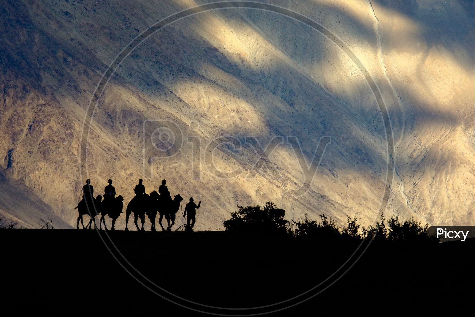 Silhouette of Travellers experiencing camel ride amidst of mountains