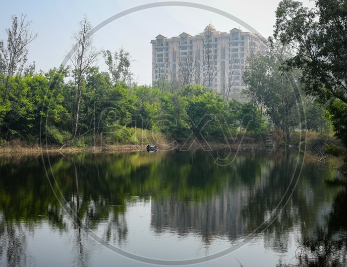 Reflection of a High Rise Building And Plants  In a Pond Water